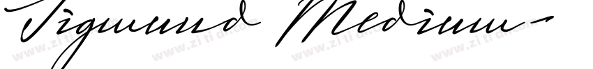 Sigmund Medium字体转换